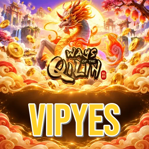vipyes Expert Team