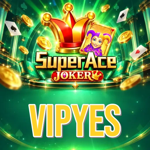 Installation Guide - vipyes Expert Tutorial
